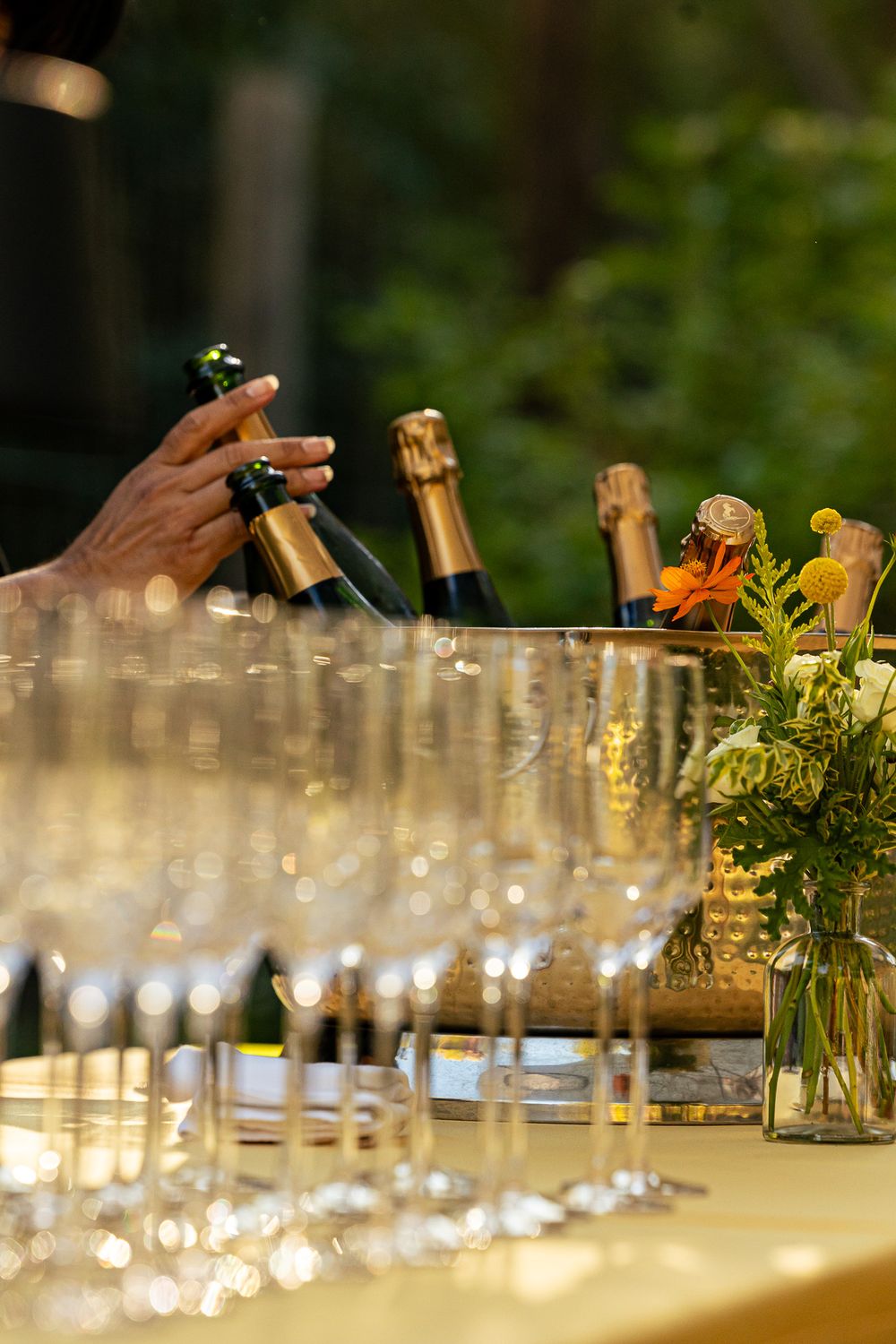 Champagne tasting Sonoma County