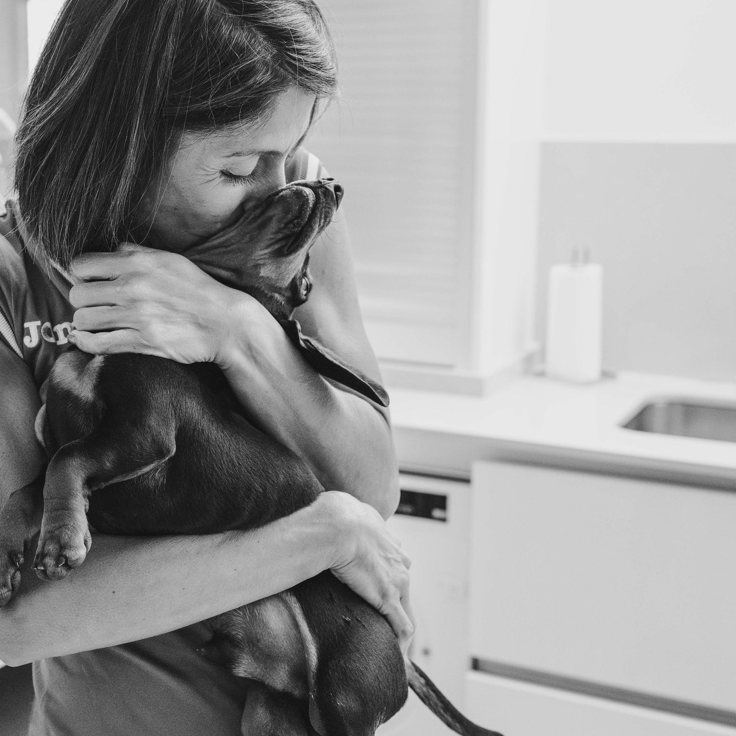 fotografías de confianza con perro y mascotas