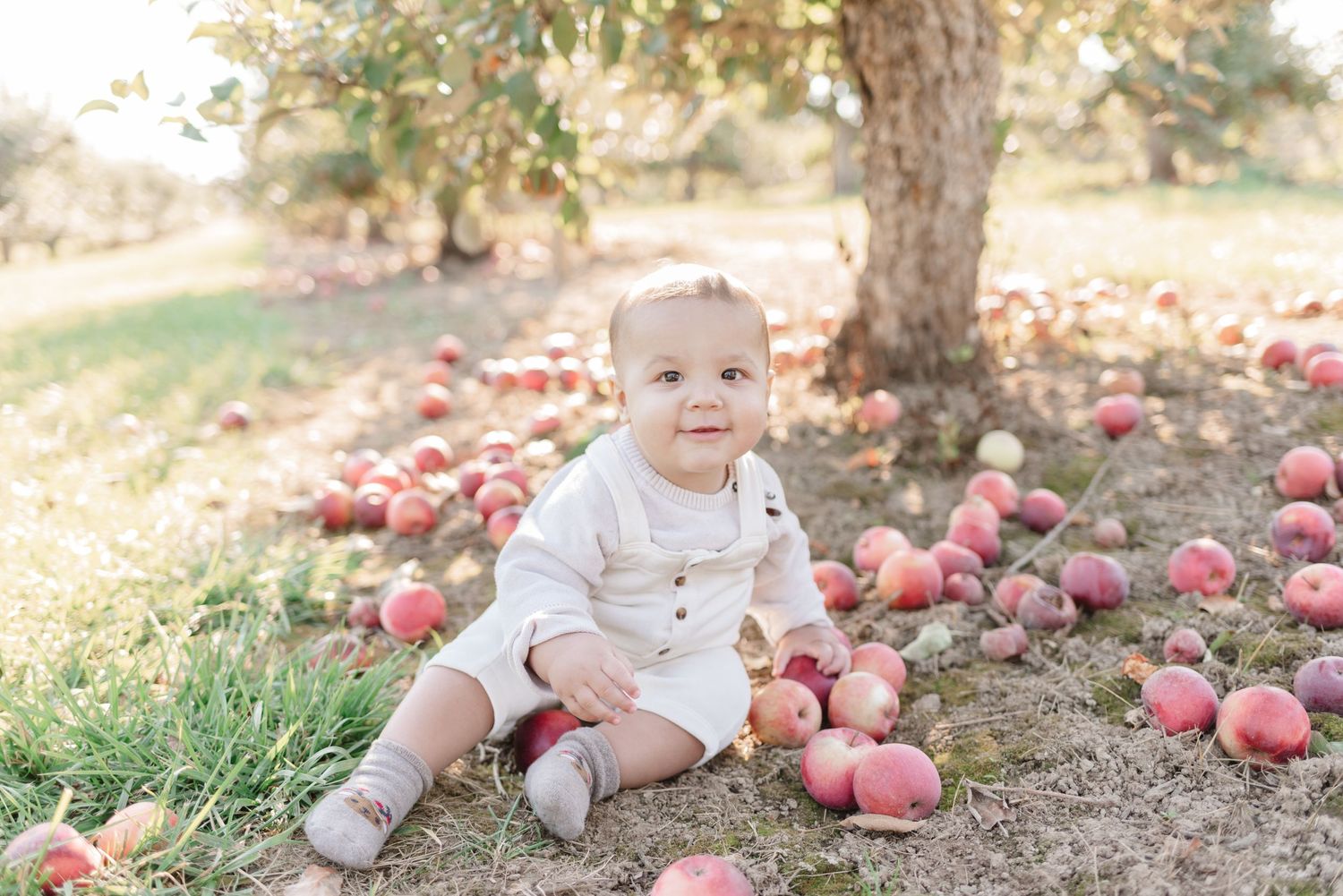 Baby in Apple field apple picking Downey's Farm in Toronto, photographed in light and airy style by Jess GC
