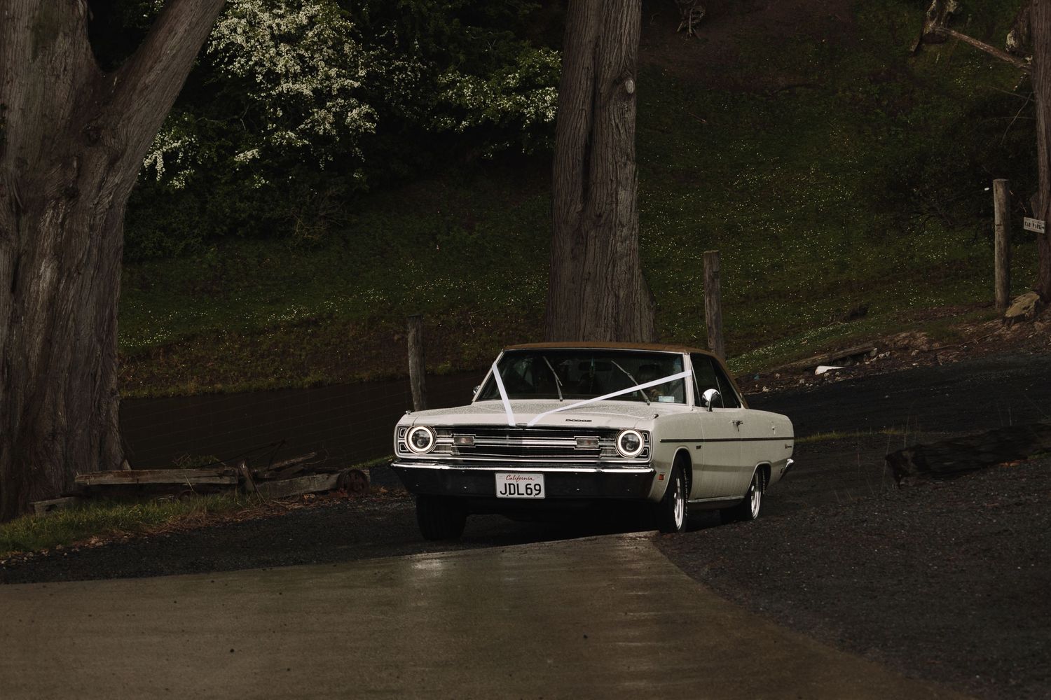 Vintage white Chevrolet car parked on a dark, tree-lined street.