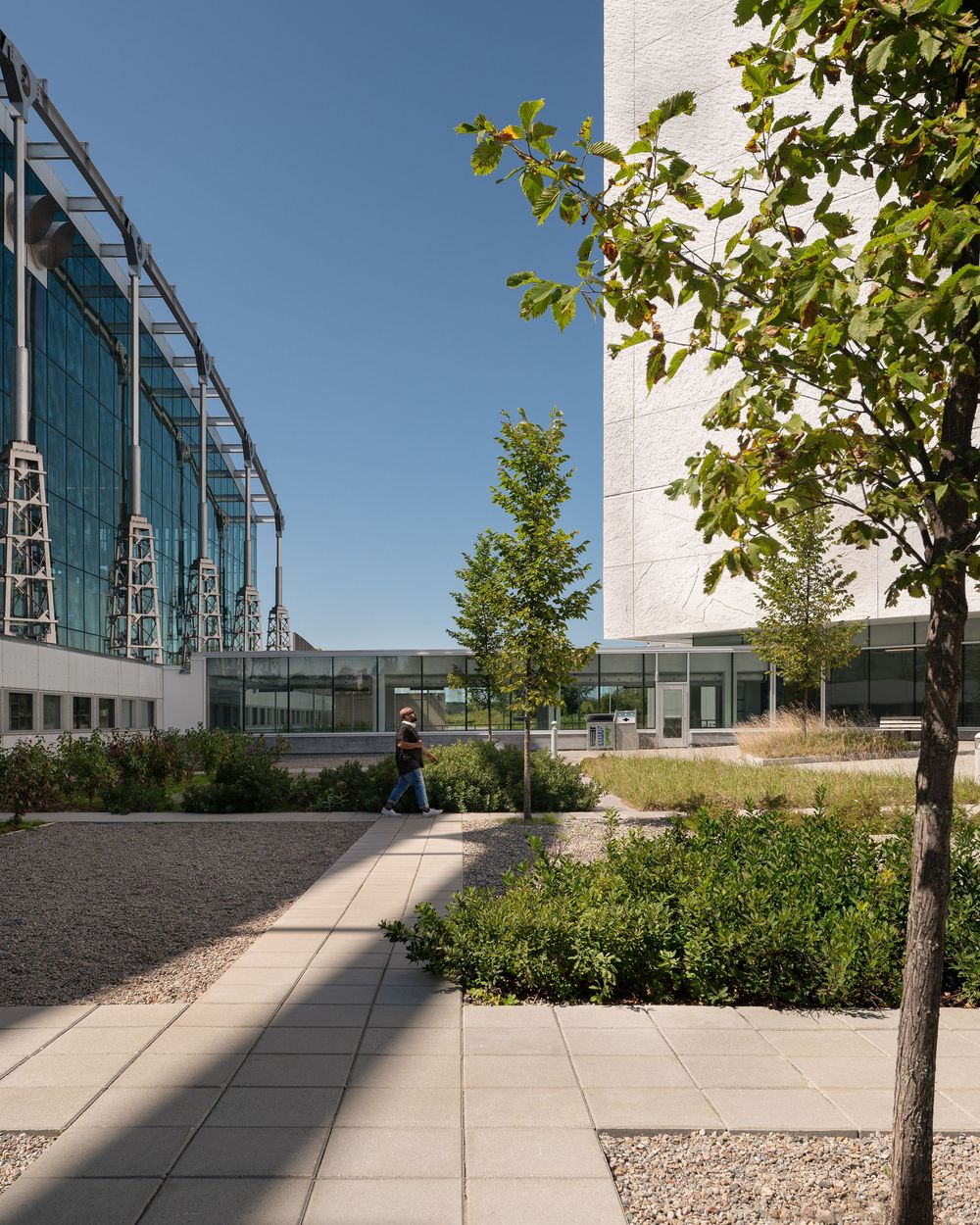 Modern office building exterior with landscaped walkway featuring concrete pavers, gravel beds and young trees.