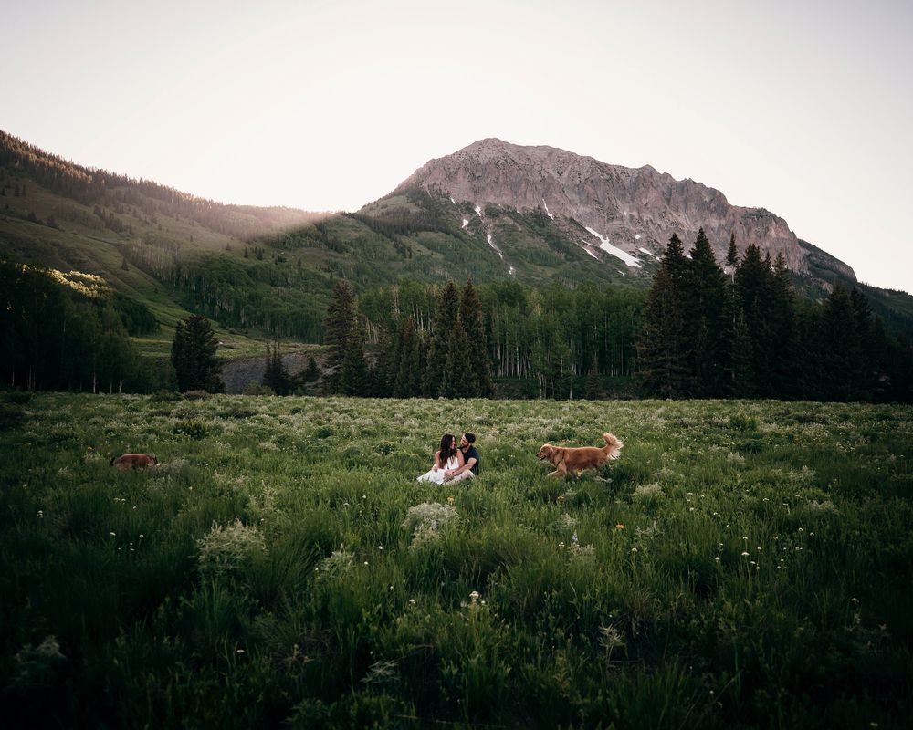 Mountain landscape at sunset with couple and dog relaxing in wildflower meadow.