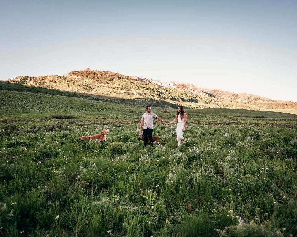 Couple walking with their dogs through mountain meadow at sunset.