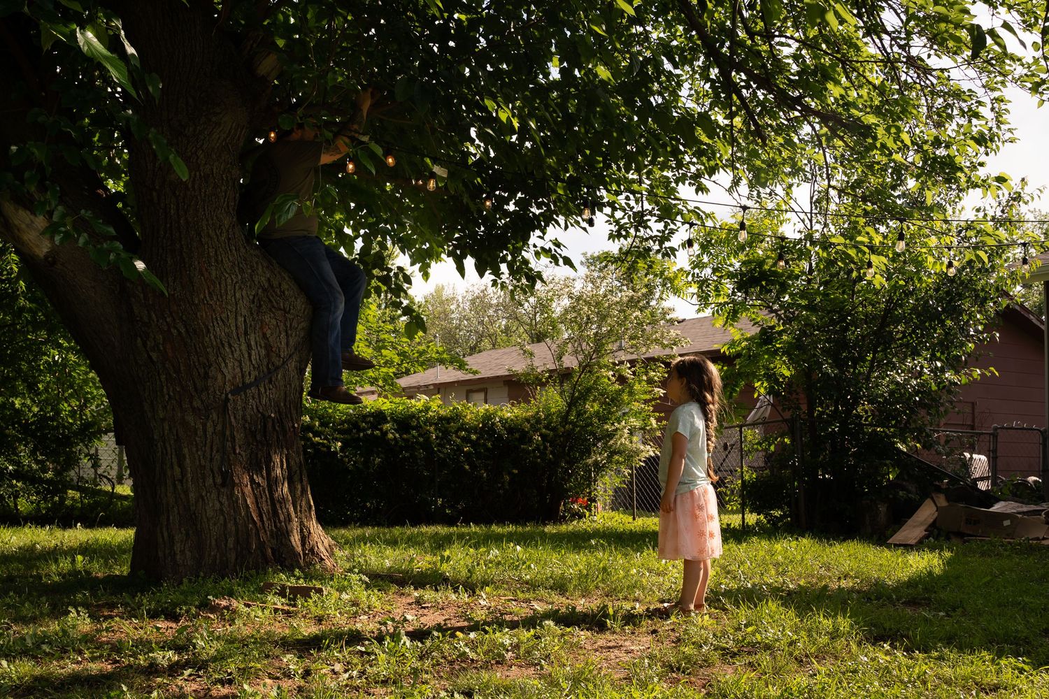 Girl finds dad up in tree while playing Hide and Seek during a Family Documentary Session.