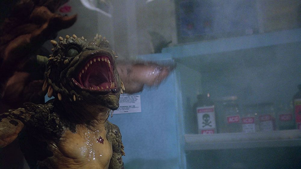 Acid Burn Gremlin