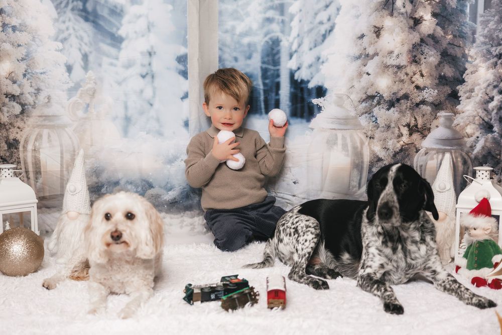 Winter holiday scene with two dogs and a small child surrounded by snowy white trees, lanterns, and festive decorations.