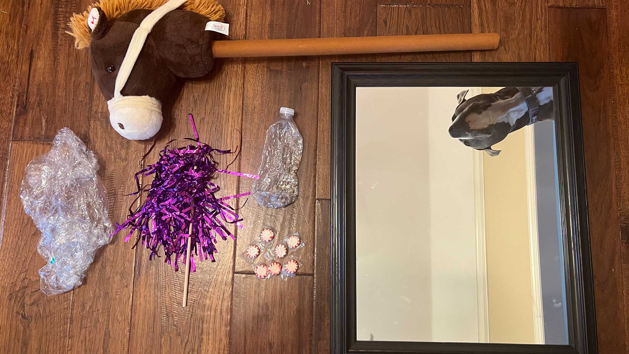 A wooden floor showcasing tools used by an Houston equine photographer during a photo session with a horse.
