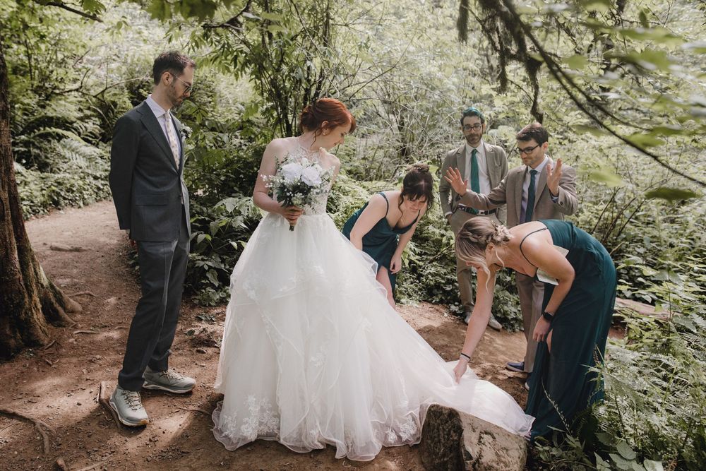 Group wearing wedding attire gathers beneath tall trees in a lush forest setting during outdoor ceremony.