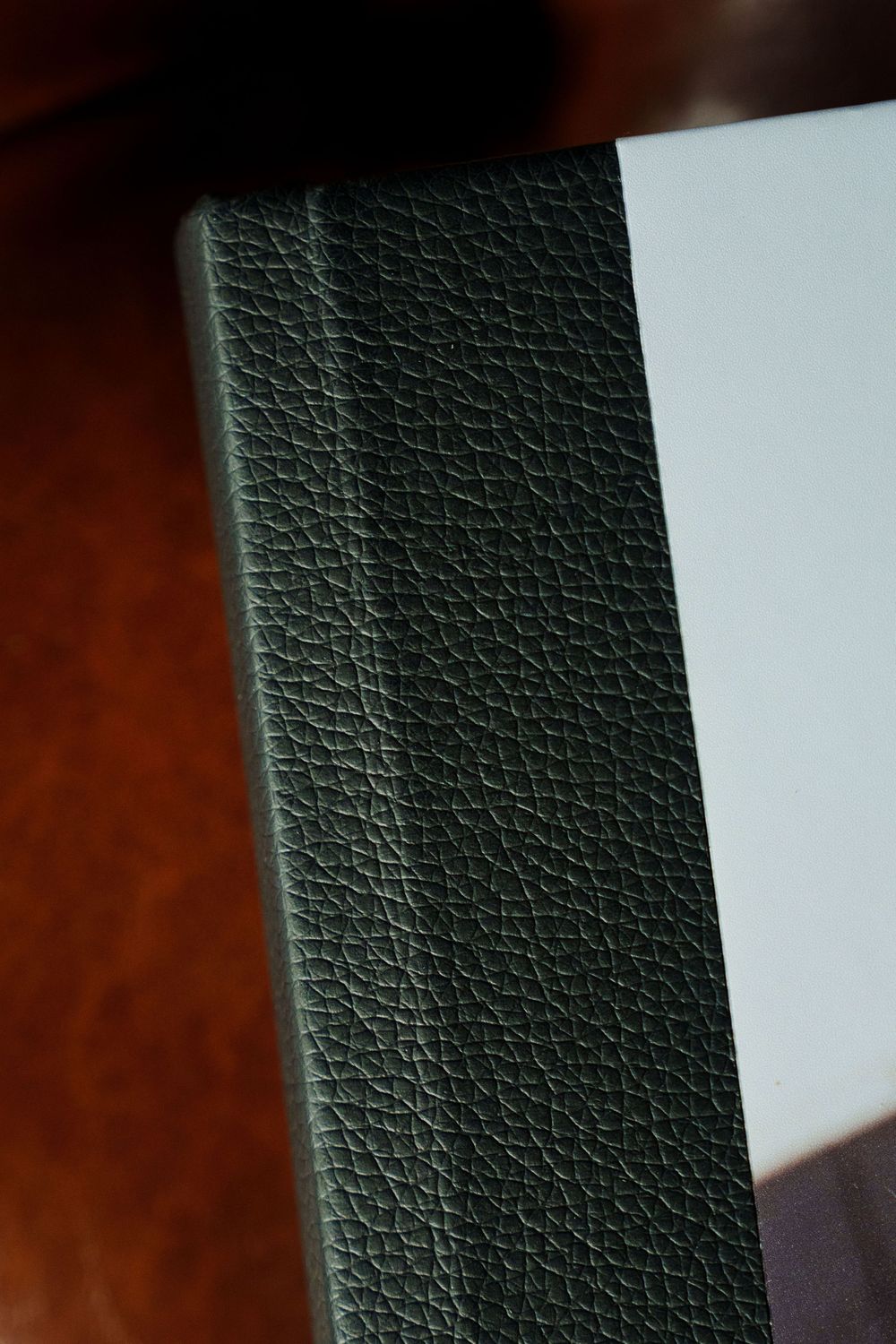 Close-up of textured black leather material showing fine grain pattern detail against a light background.