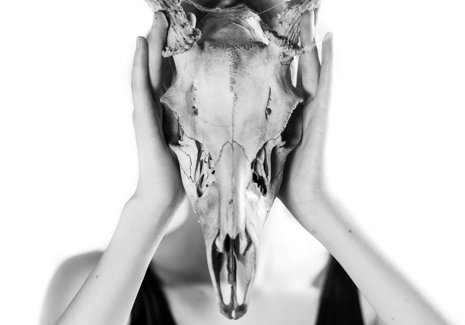 Portrait of a girl with a deer skull