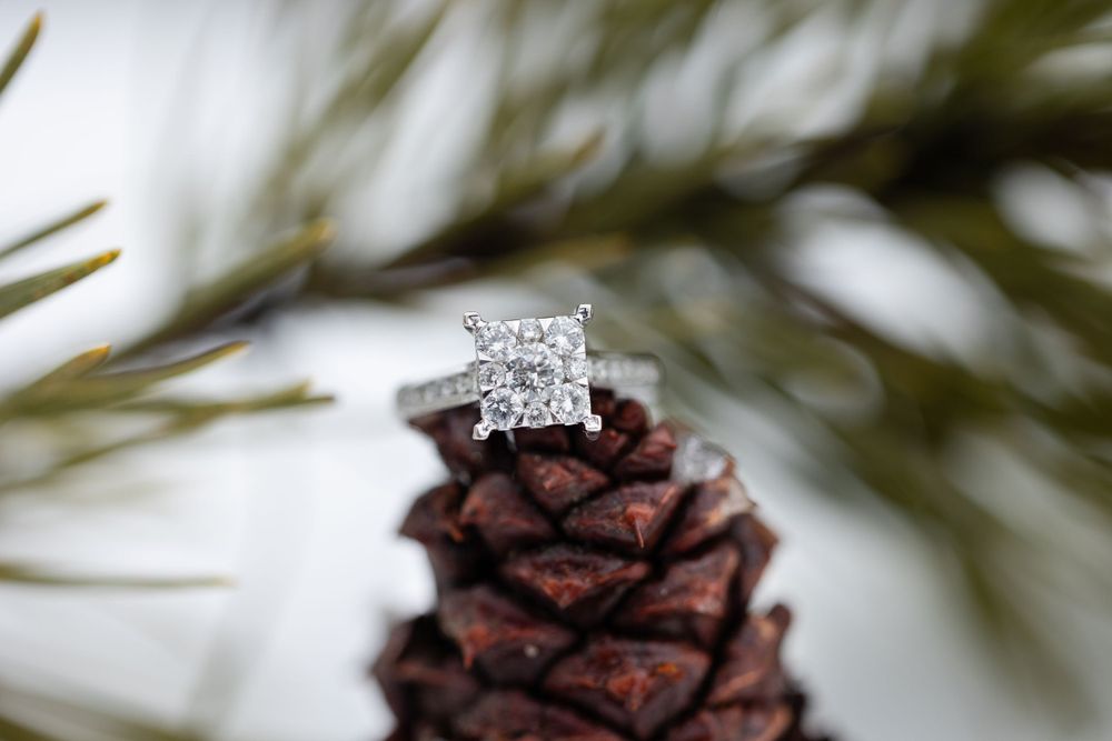 Diamond engagement ring displayed on a brown pinecone with pine needles in soft focus background.