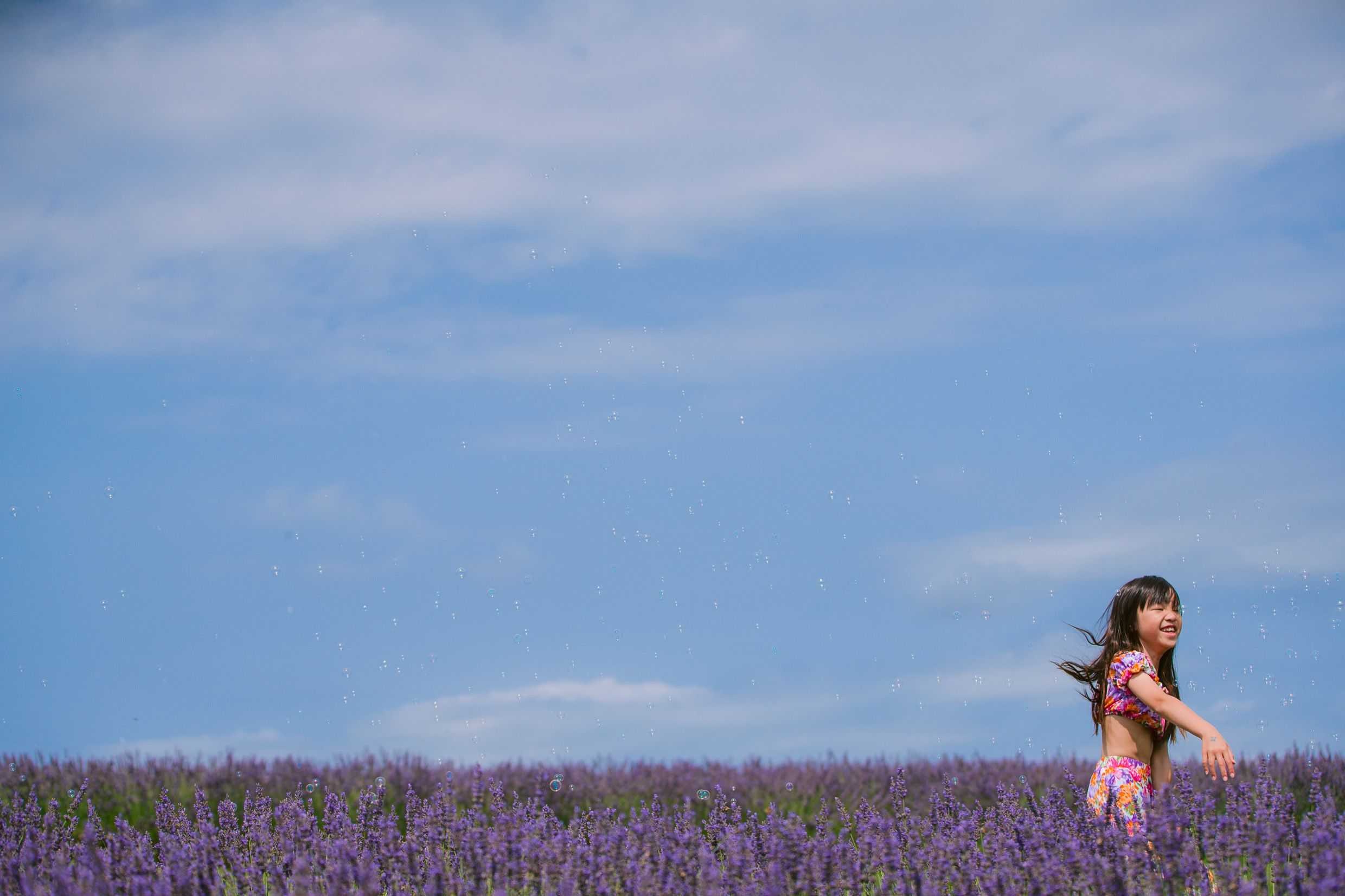 A figure stands among blooming purple lavender flowers against a bright blue summer sky.