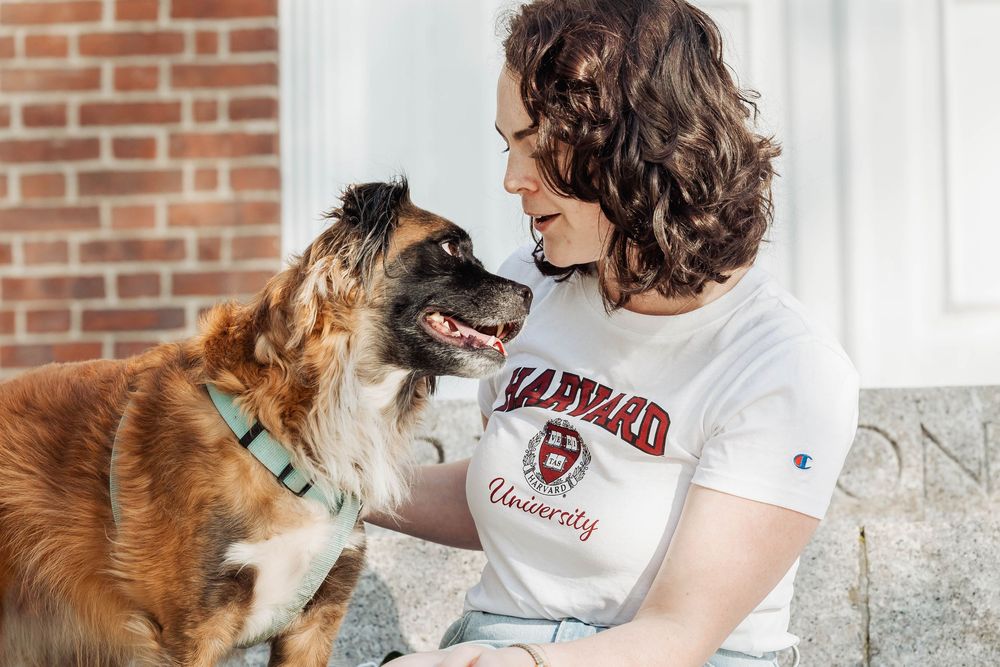 Brown and white dog wearing a collar lovingly interacts with person in a white t-shirt on a porch step.