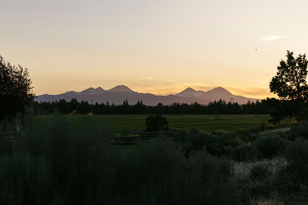 Mountain range silhouetted against a golden sunset sky with trees in the foreground.