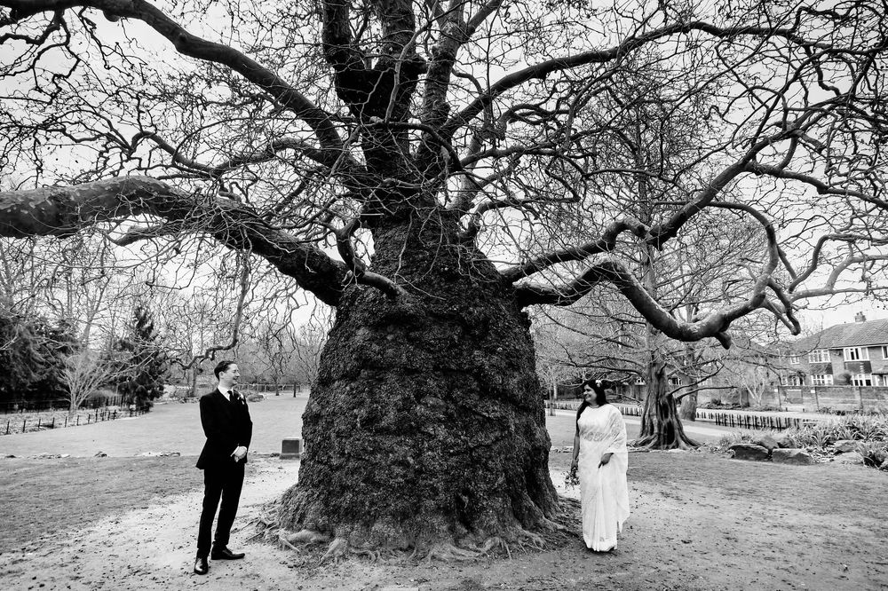 Two people stand on opposite sides of a massive ancient tree trunk in a black and white nature scene.