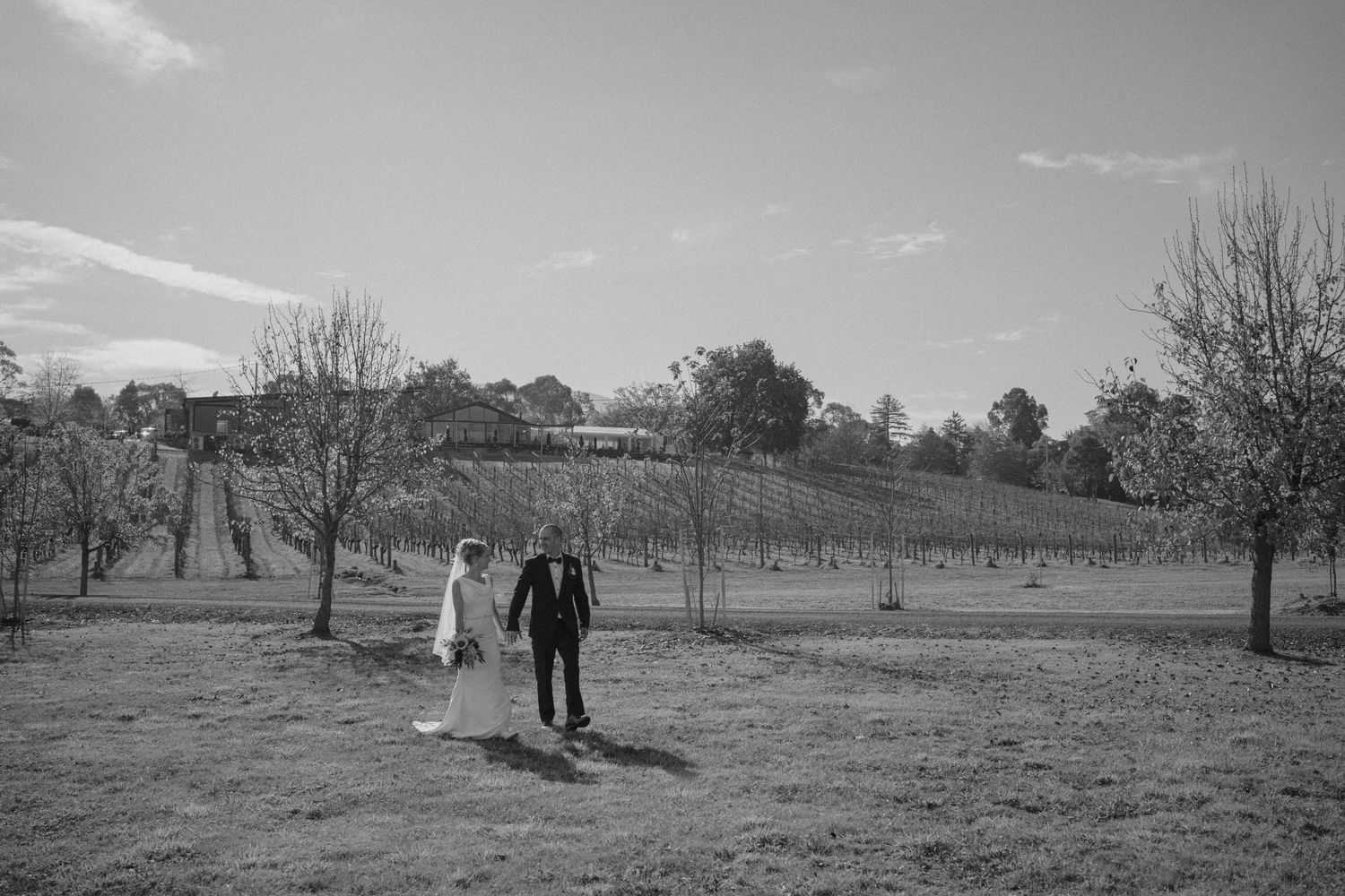 Black and white panoramic countryside showing a series of farmland fields with scattered trees and fences in the distance.