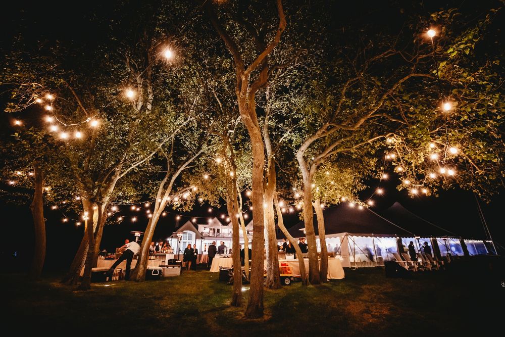 String lights illuminate trees at night creating a romantic outdoor reception atmosphere with glowing pathways.