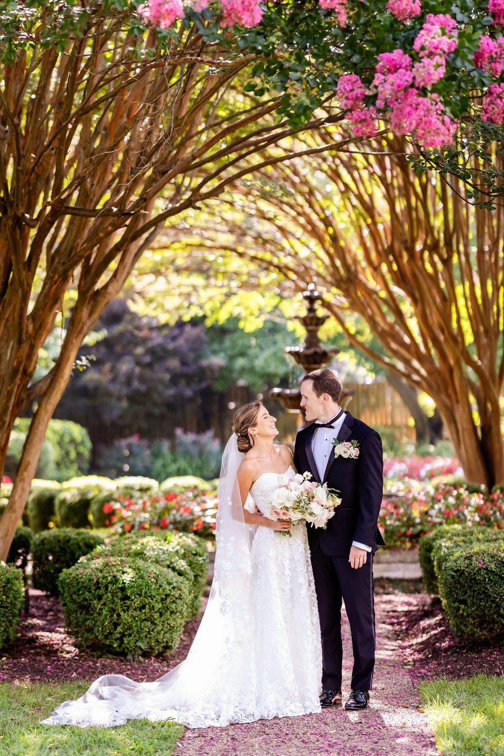A romantic garden pathway with crape myrtle trees forming an archway adorned with pink blooms and manicured hedges.