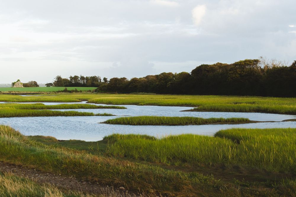 nuit à Carrig Island Bay Beach - spot pour road trip irlande