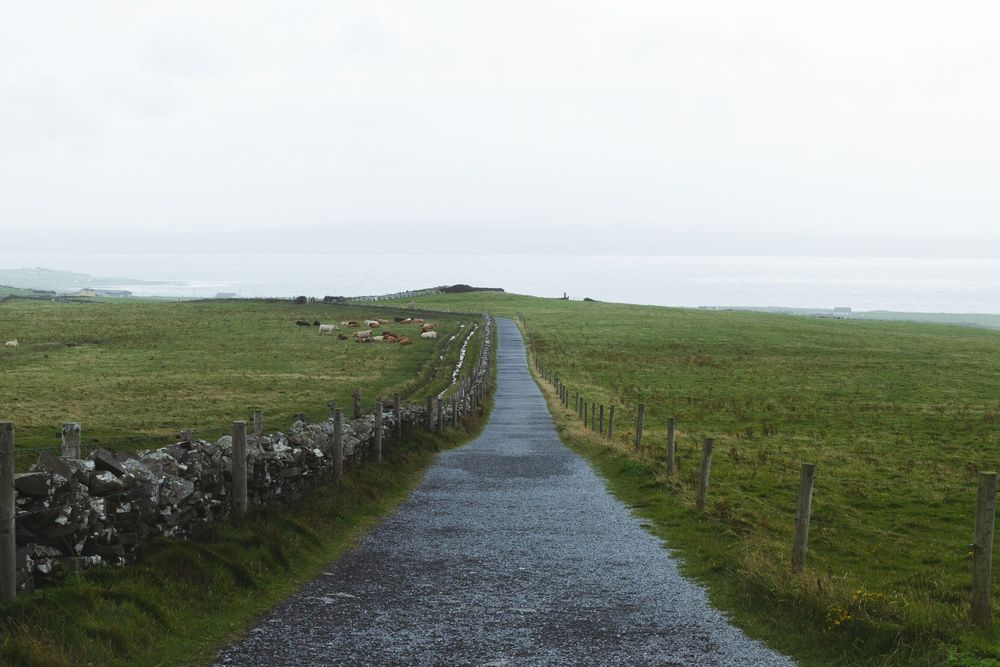 Cliffs of Moher - road trip en van en irlande