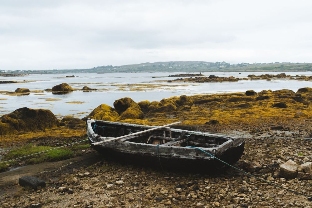barque road trip irlande