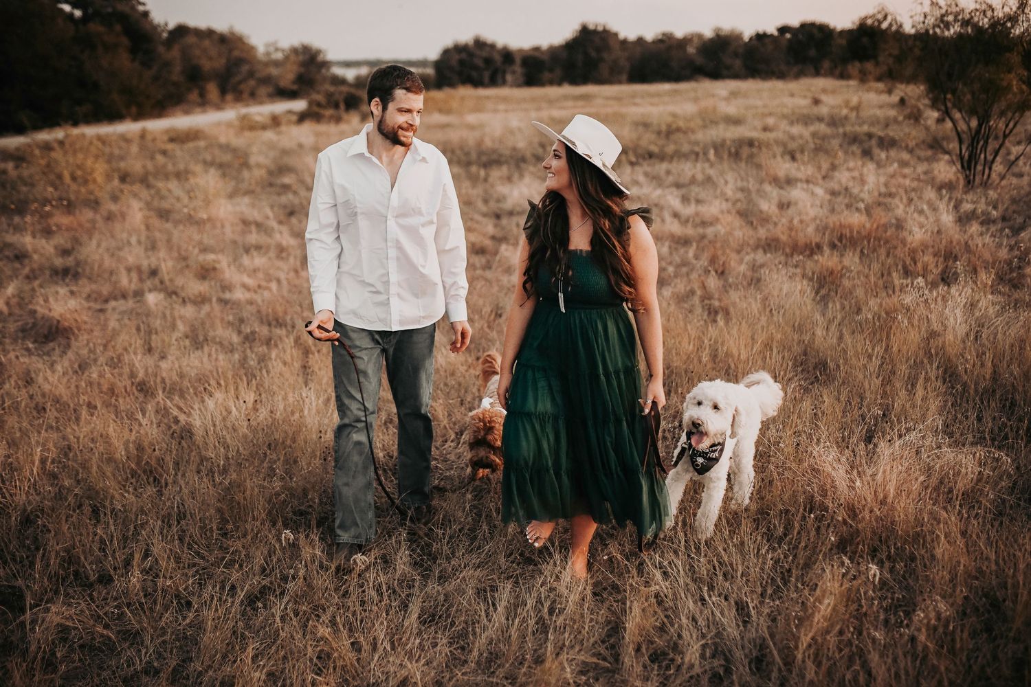 a couple dressed in formal attire walk through a field of golden grass during the golden hour as their pups walk around them