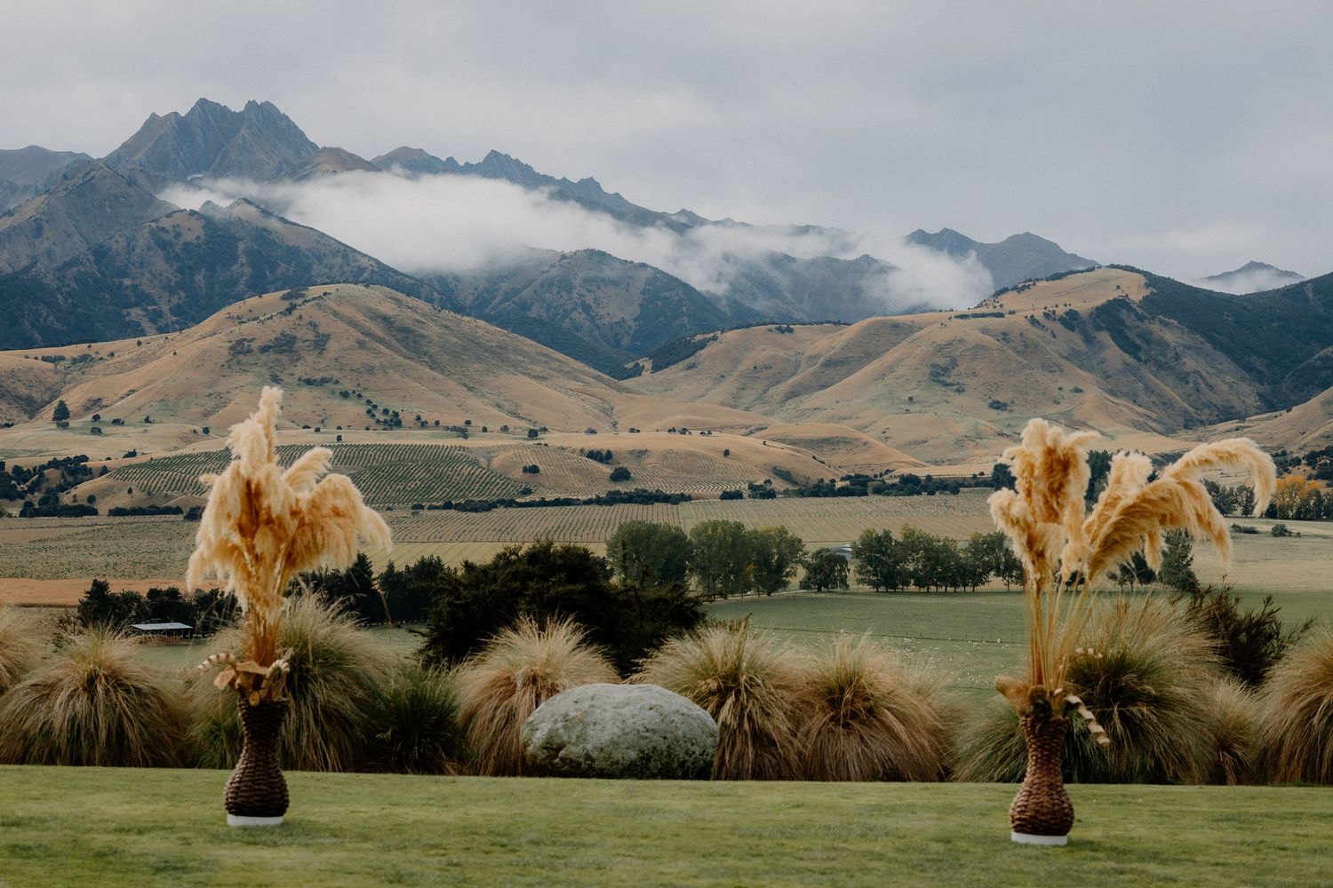 Dried pampas grass arrangements frame a scenic mountain landscape with rolling hills and low clouds in New Zealand.