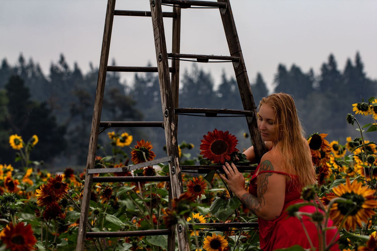 A person in a red dress stands among vibrant sunflowers and dahlias next to a wooden ladder at dusk.