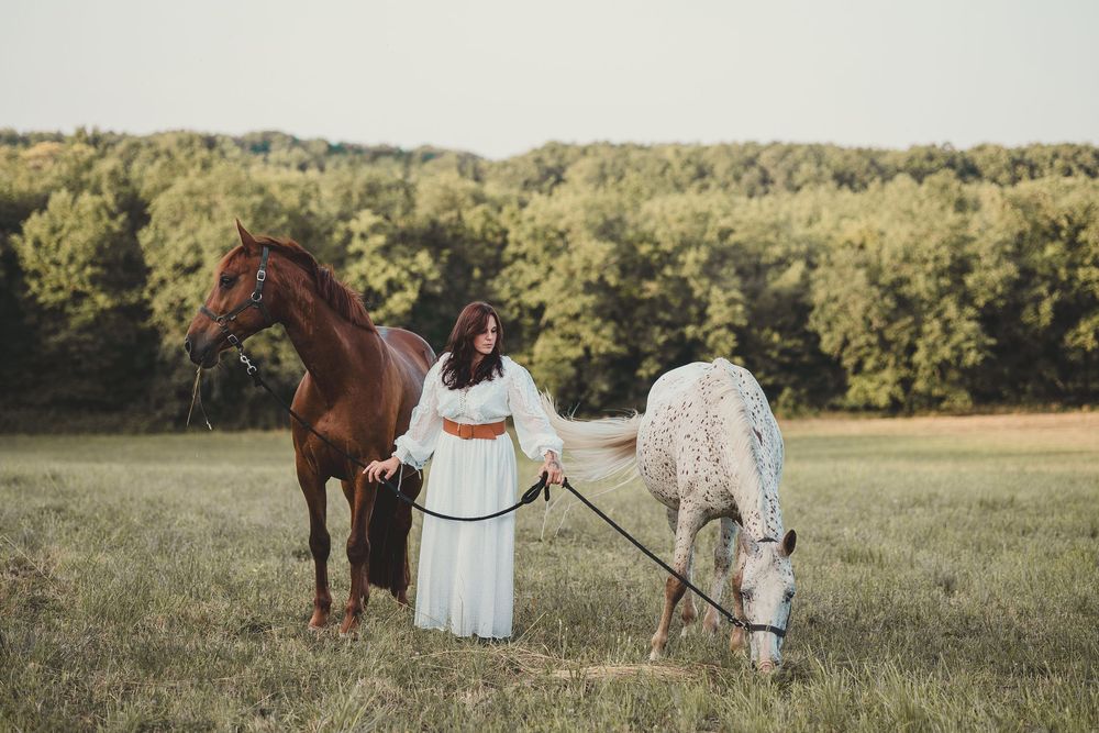 A brown and white horse stand in a grassy meadow at sunset with a figure in a flowing dress between them.