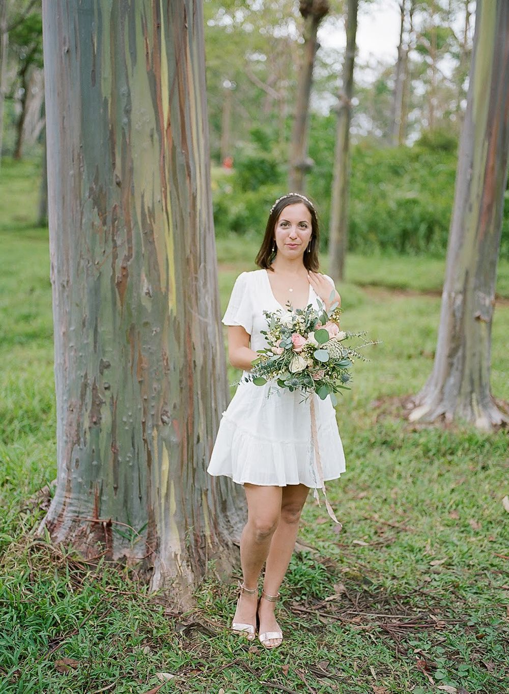 A woman in a white dress holds a bouquet while standing among rainbow eucalyptus trees.