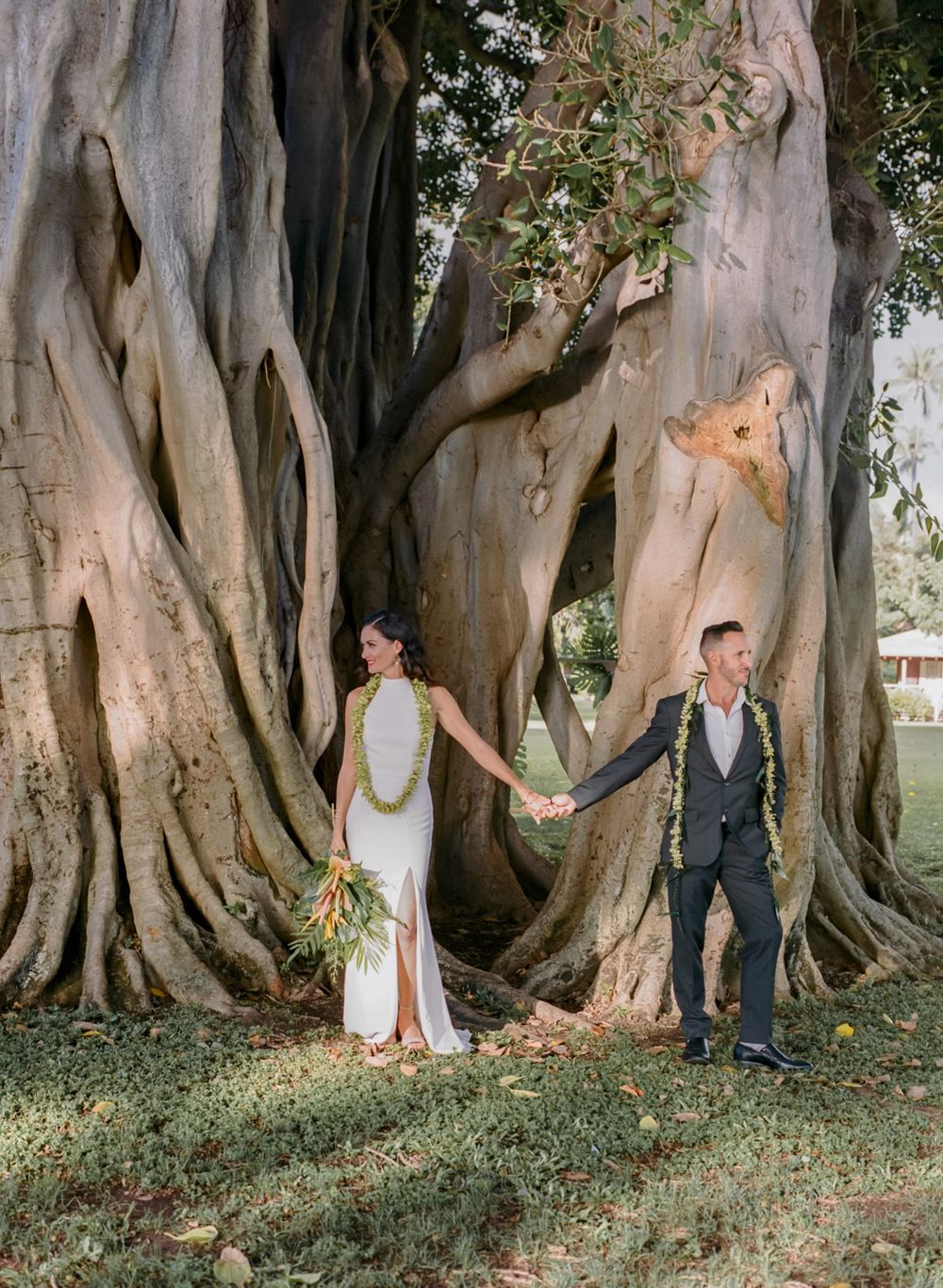 Wedding couple holds hands while standing apart under a majestic banyan tree.