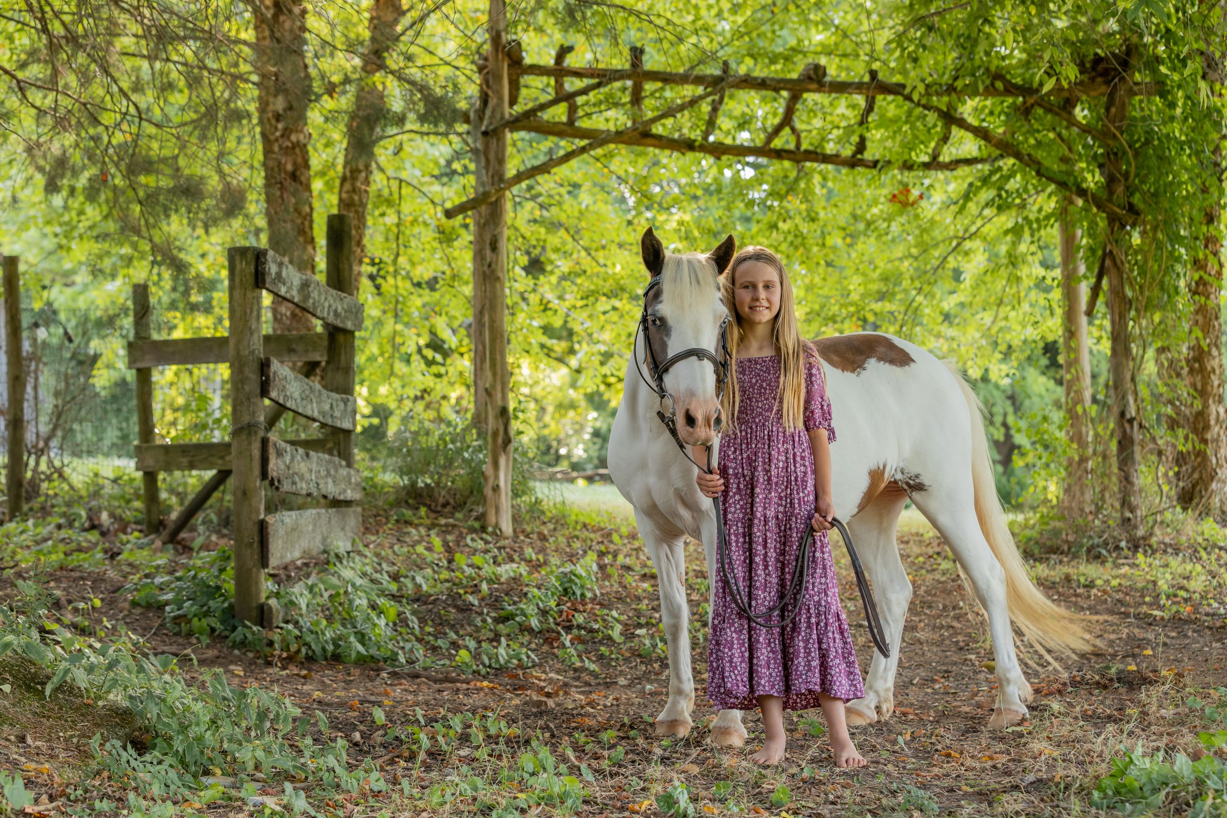 White horse stands under rustic wooden archway in lush green woodland setting.