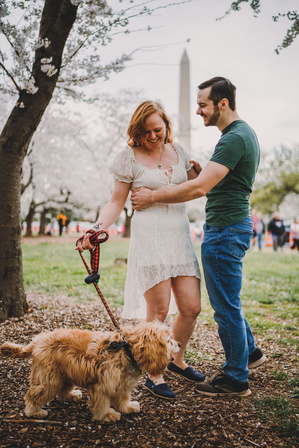 A couple shares a tender moment with their golden-colored dog while cherry blossoms bloom near the Washington Monument.