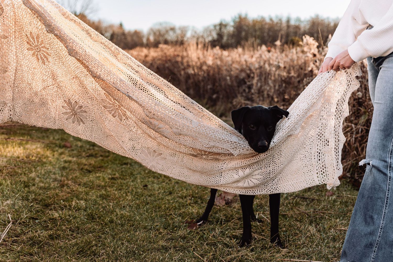 A person holds up a flowing beige lace dress in an outdoor field while a black dog watches nearby.