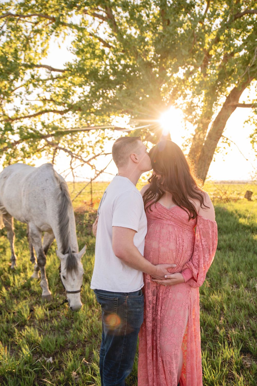 A couple shares an intimate moment at sunset in a field with a white horse grazing in the background.