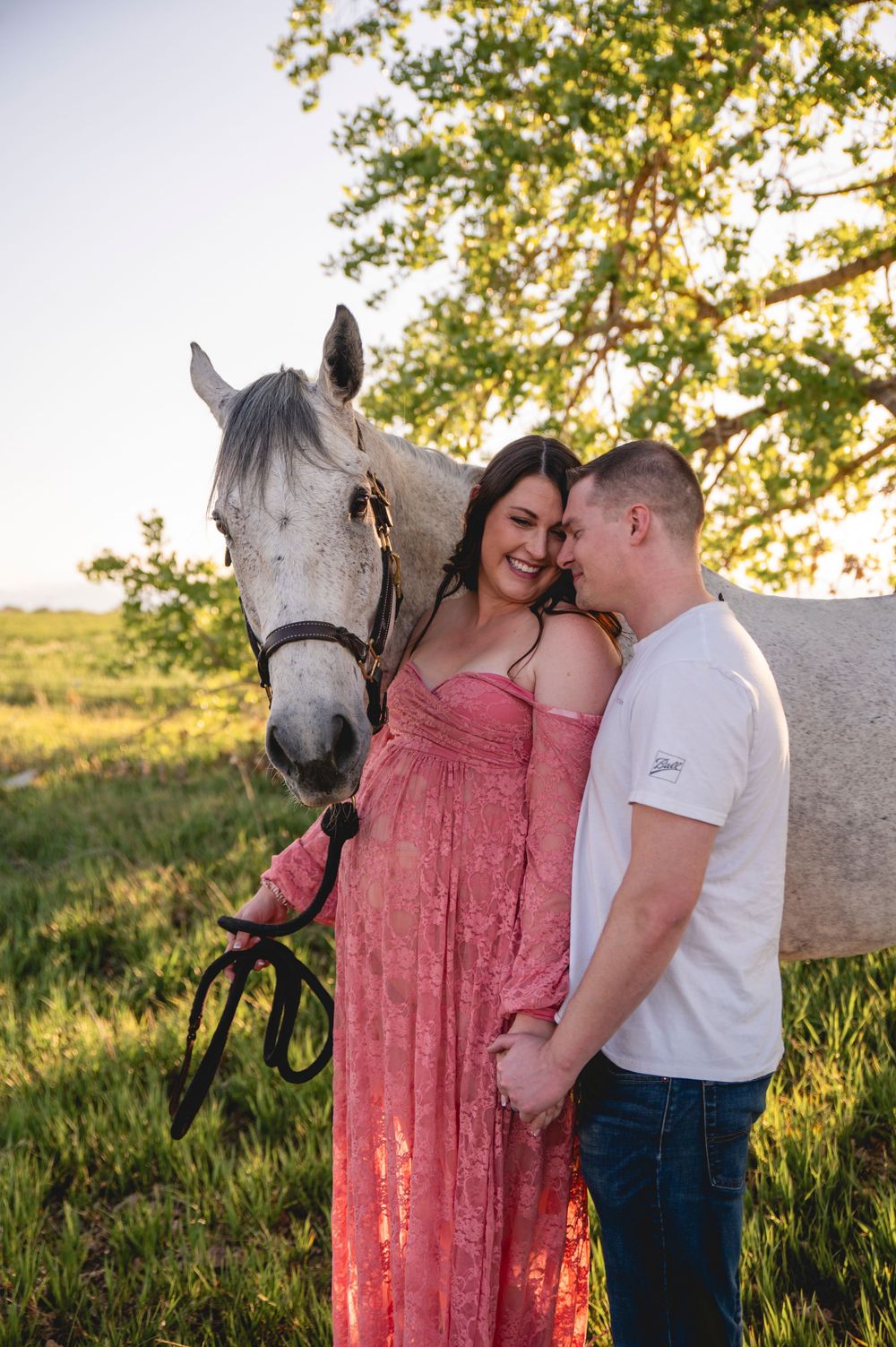 A couple shares a tender moment next to a white horse in a sunlit meadow during golden hour.