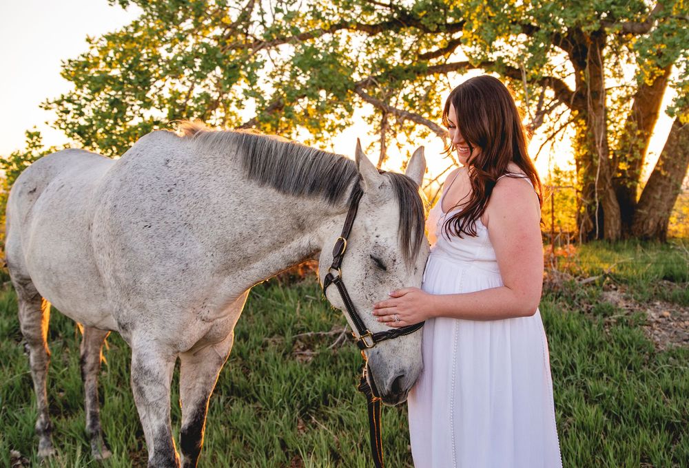 A woman in a flowing white dress tenderly pets a dappled gray horse in a sun-dappled field at golden hour.