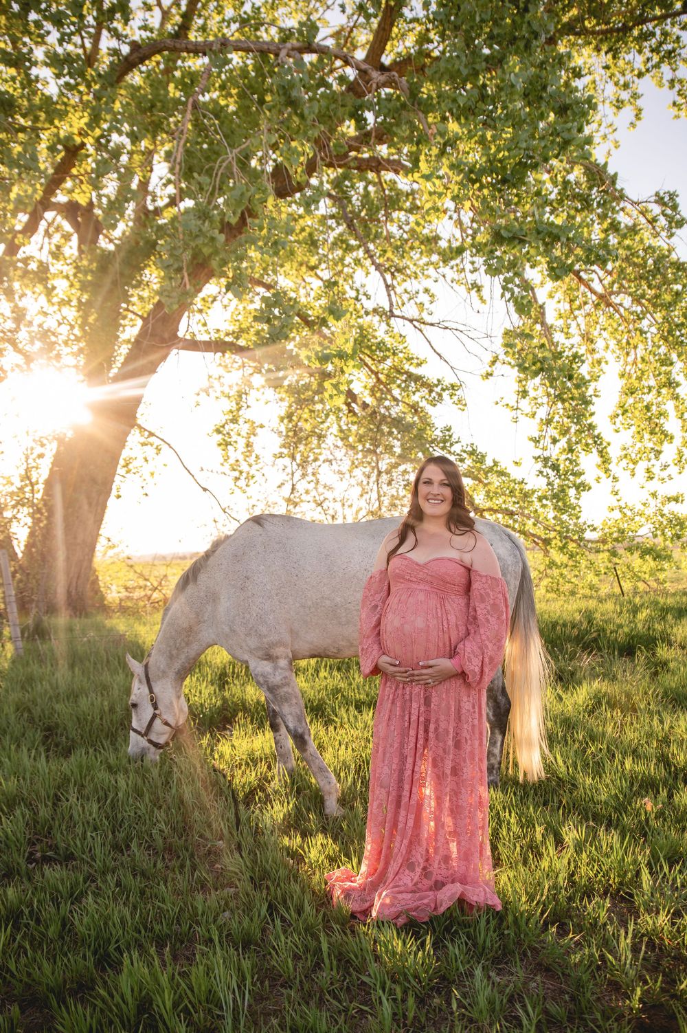 A white horse grazing under a sunlit tree while someone in a pink vintage dress stands nearby at sunset.