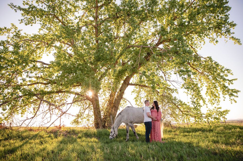 A white horse and someone in a pink dress stand beneath a majestic tree backlit by golden sunlight.