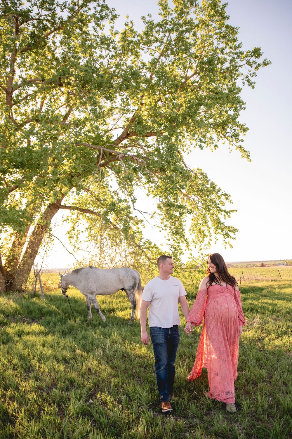 A couple walks hand in hand through a pastoral meadow at sunset with a white horse grazing beneath a large tree.