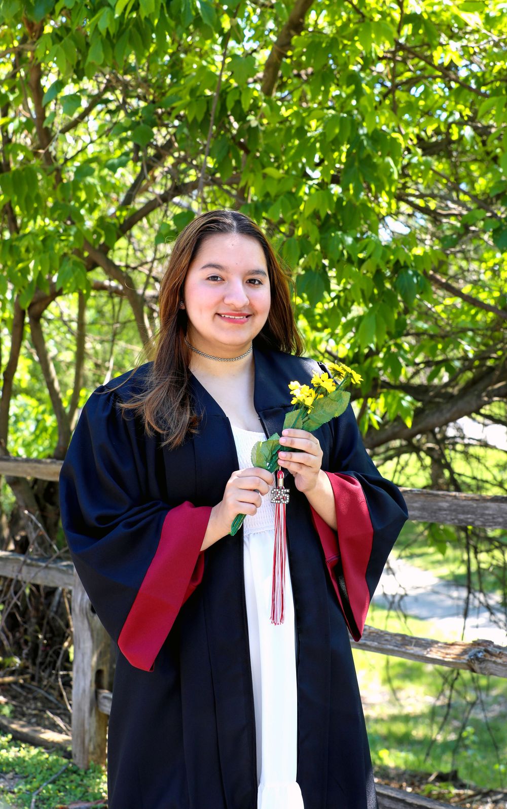 Graduate in navy and red academic regalia stands outdoors beneath green leafy trees on graduation day.