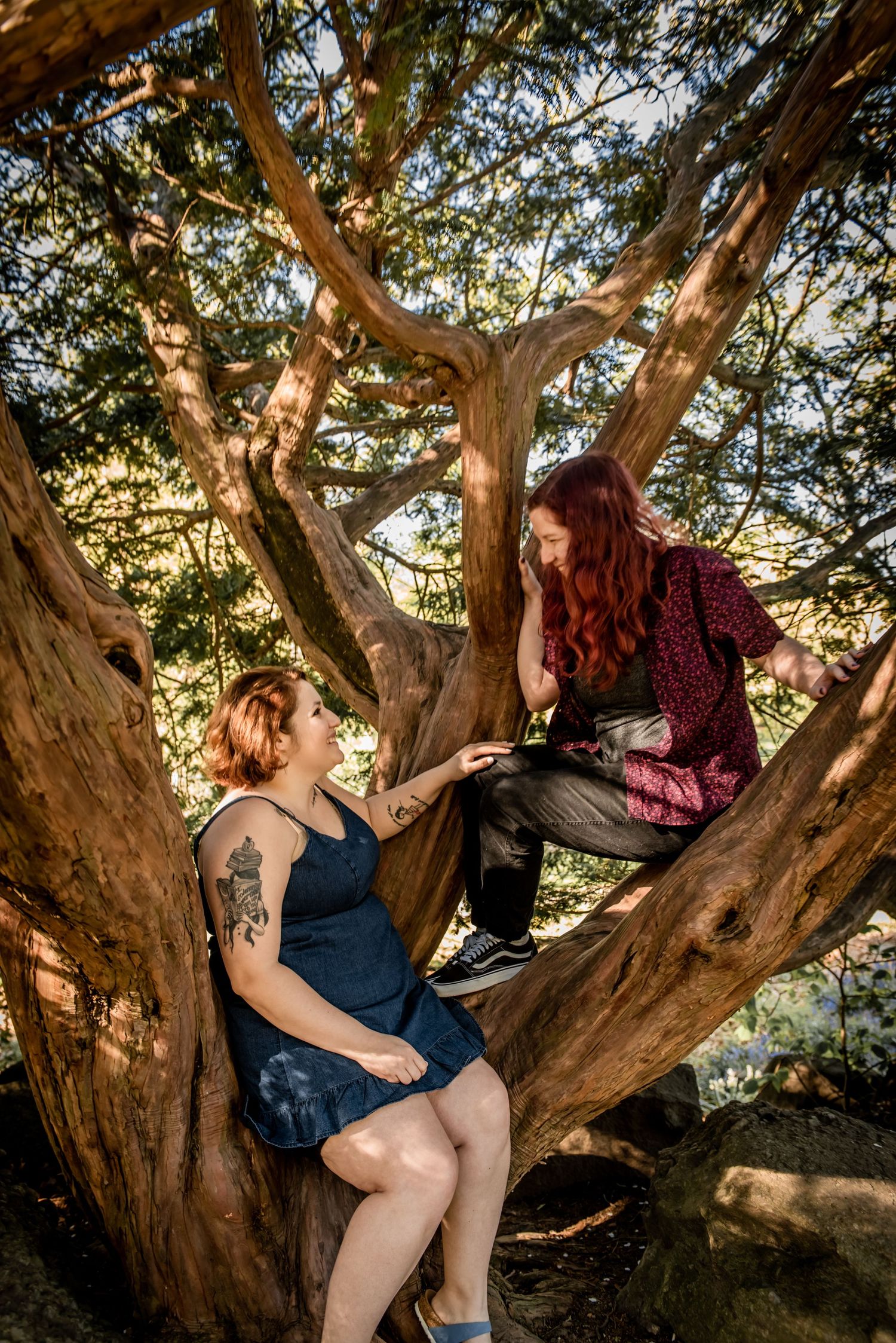 Two people sit together in the branches of a large tree during golden hour. LGBT LGBTQ+ Friendly photographer