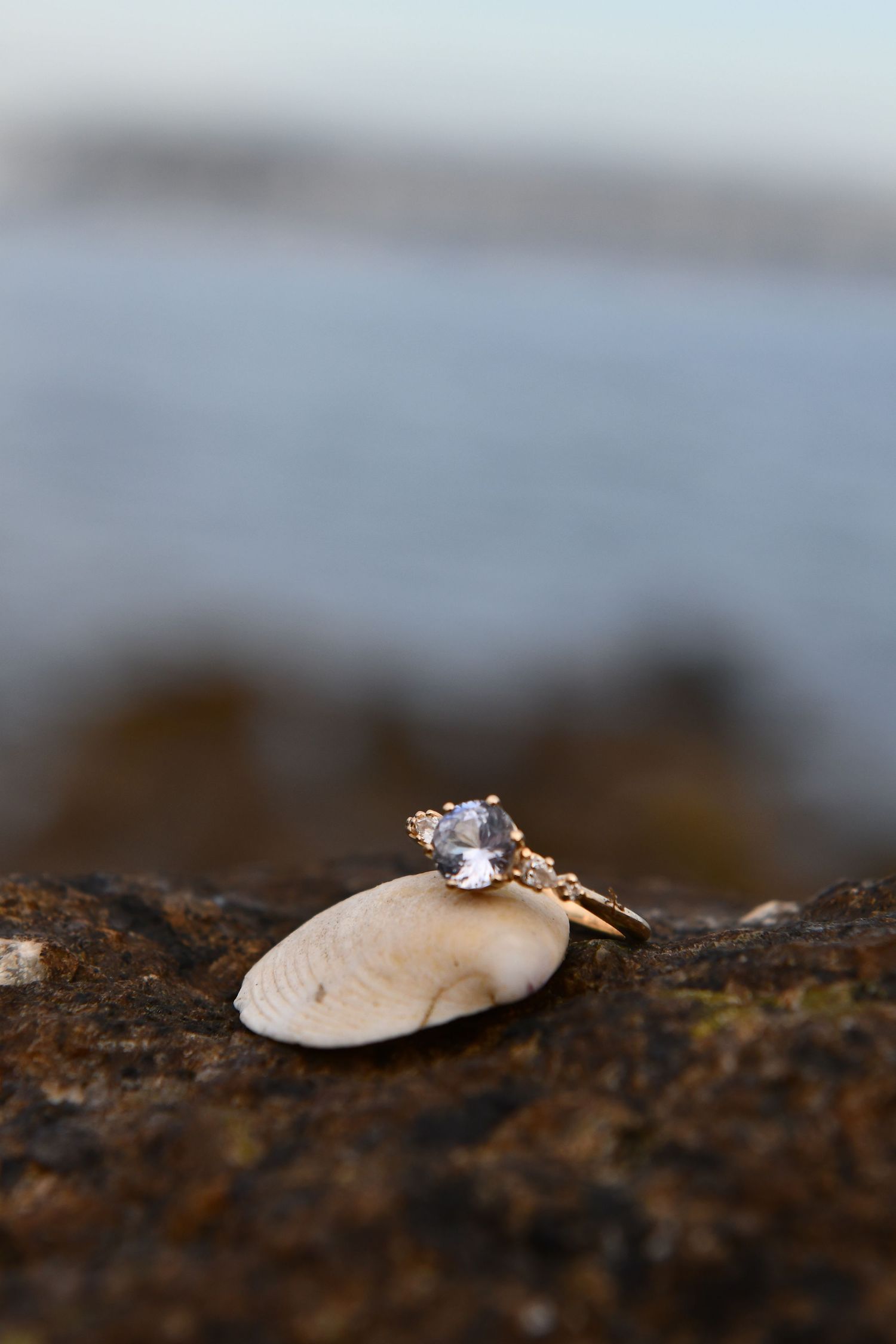 Diamond engagement ring placed on seashell against rocky coastal background. Massachusetts Engagement Photographer