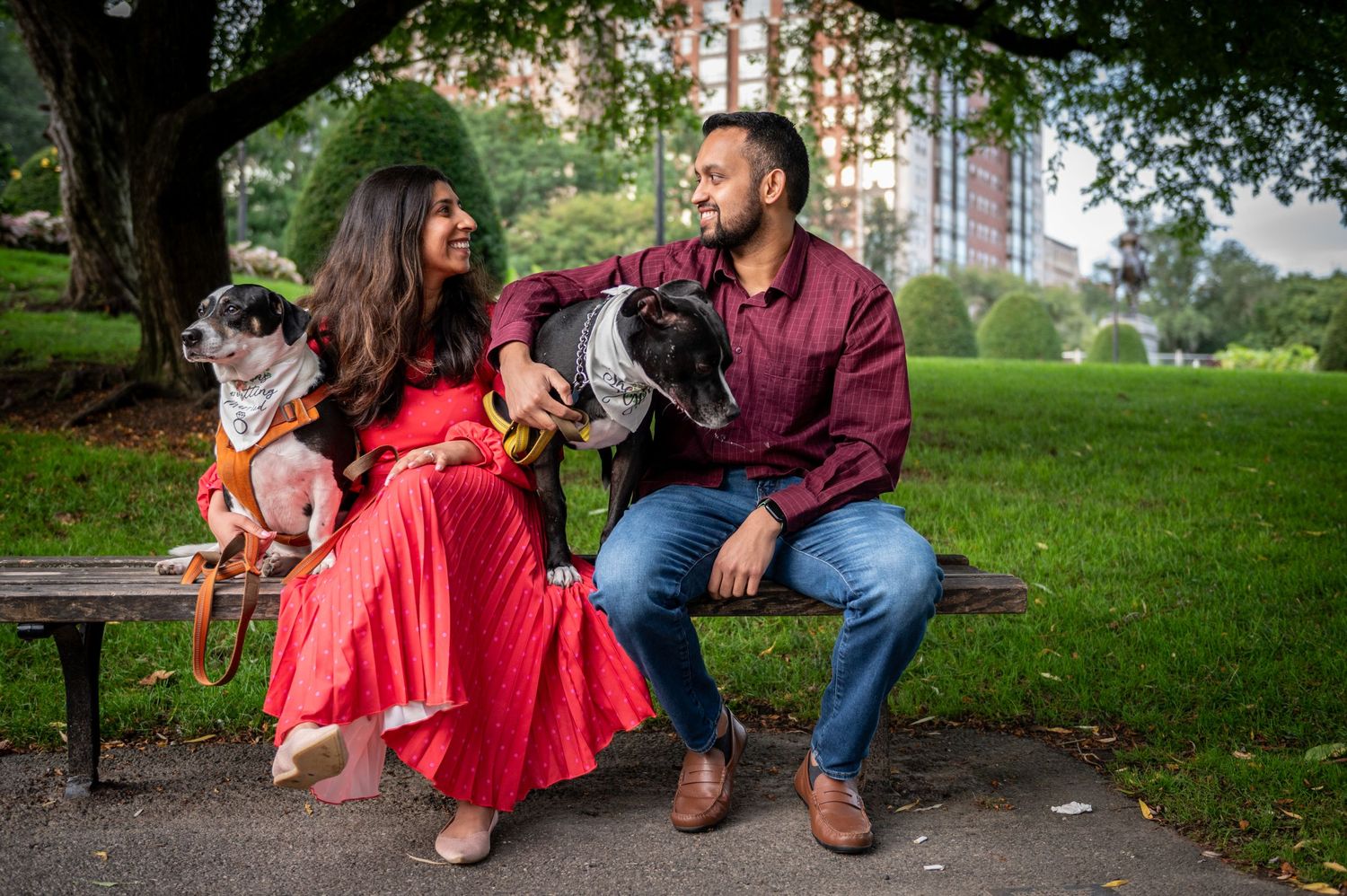 Two pets sit with their owners on a park bench during an outdoor photoshoot. Boston Engagement & Wedding Photography