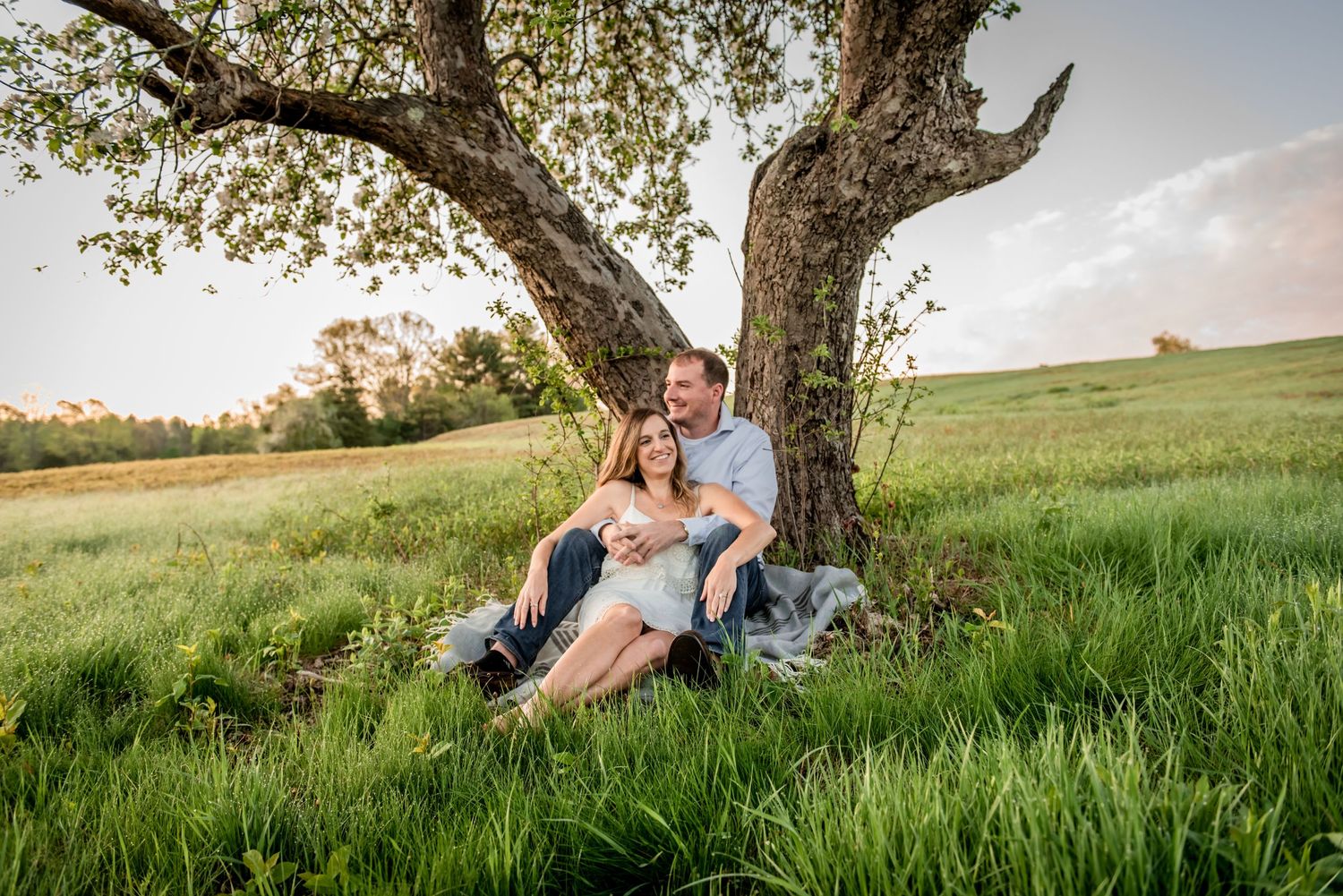 A couple shares an intimate moment while sitting beneath a large tree in a sunny meadow. New Hampshire Engagement Photographer- Affordable