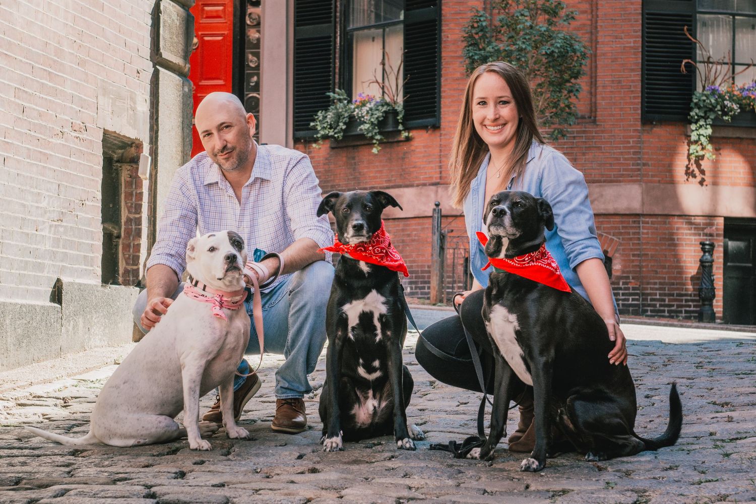 Couple sitting with four dogs on cobblestone street in front of brick building.Massachusetts Engagement Photographer Serving New England