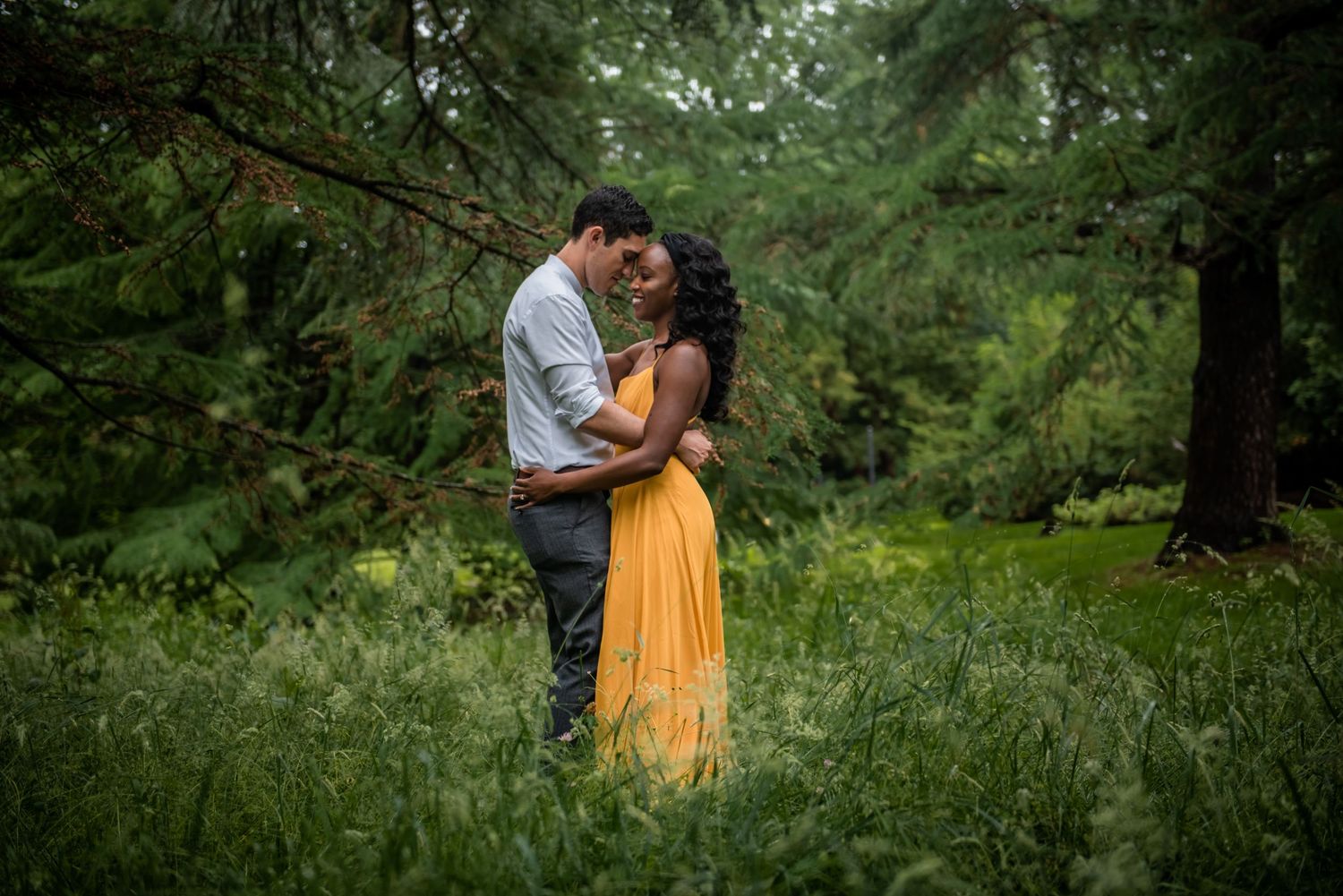 A couple shares a tender moment in a lush green forest setting. Massachusetts Engagement Photographer- Affordable