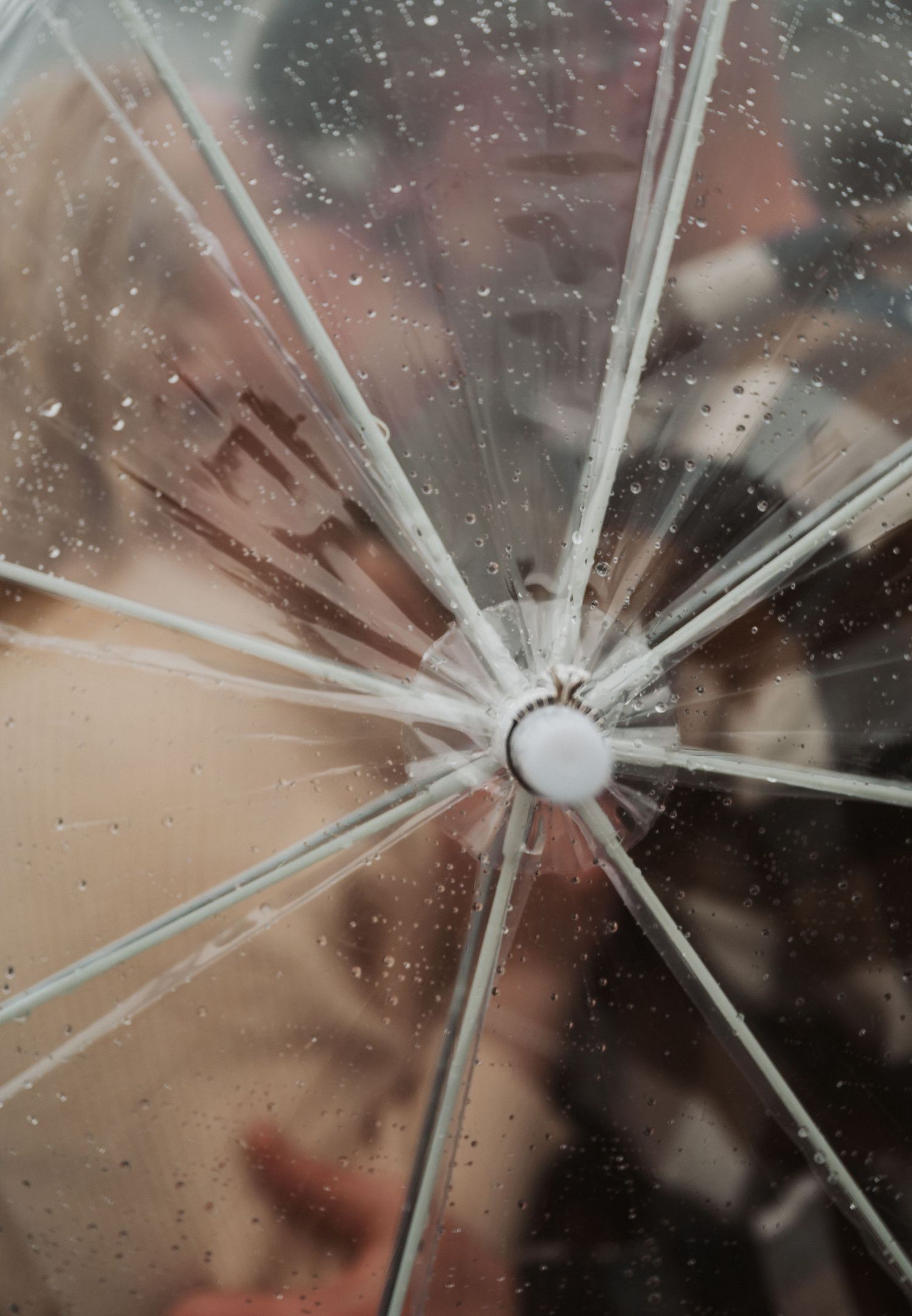 A close-up shot of a cracked glass window with a radial spiderweb pattern emanating from a central impact point.