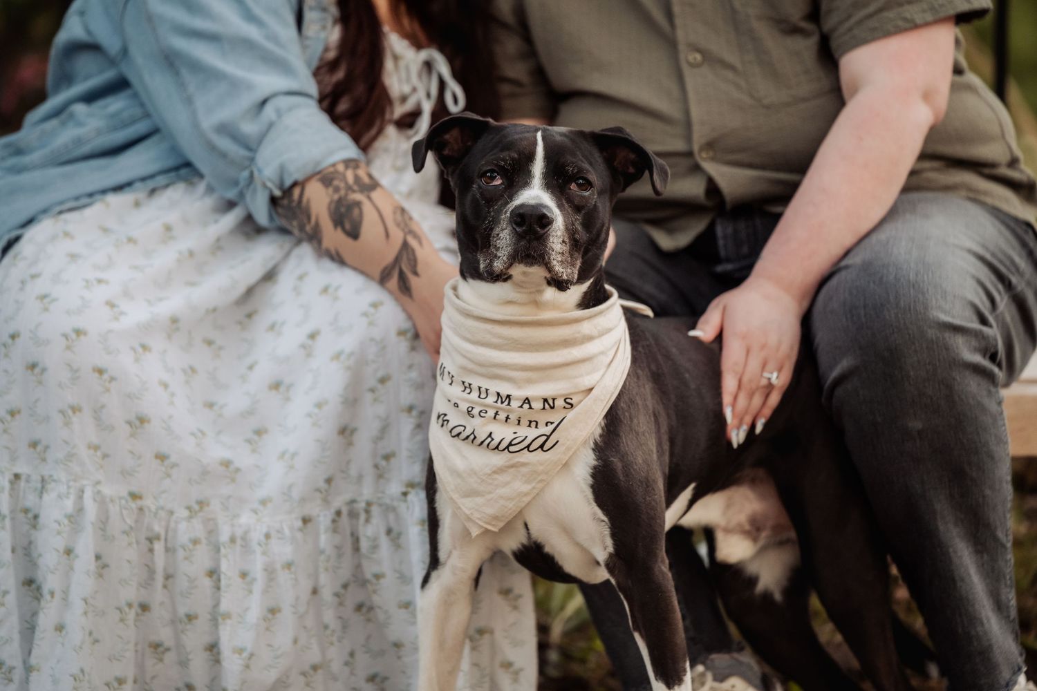 Dog wearing a dog bandana sits with couple during outdoor photoshoot.