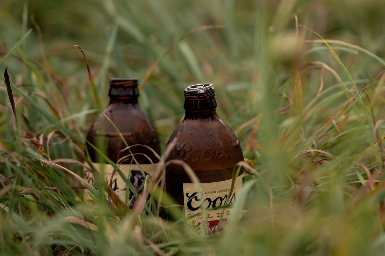 Two brown glass bottles nestled in tall grass with selective focus and shallow depth of field.